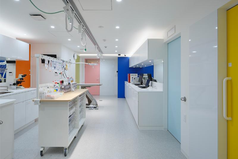 京浜夜間動物病院