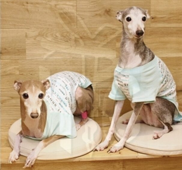 マルクペットクリニック