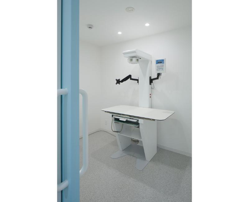 京浜夜間動物病院