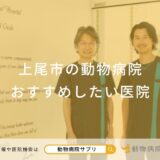 上尾市の動物病院 おすすめしたい医院