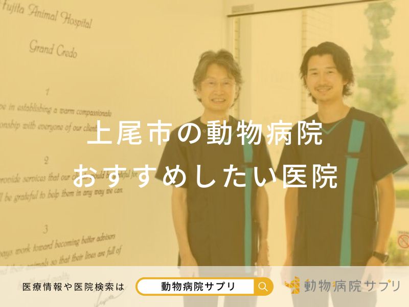 上尾市の動物病院 おすすめしたい医院