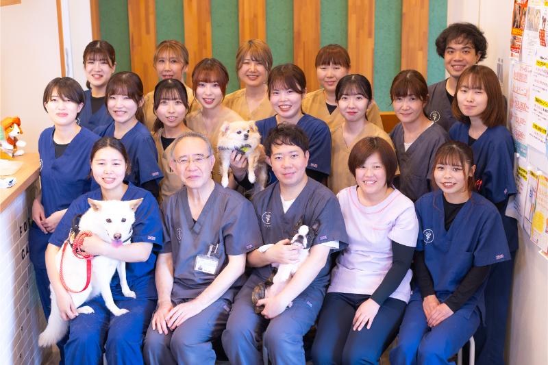かとり動物病院