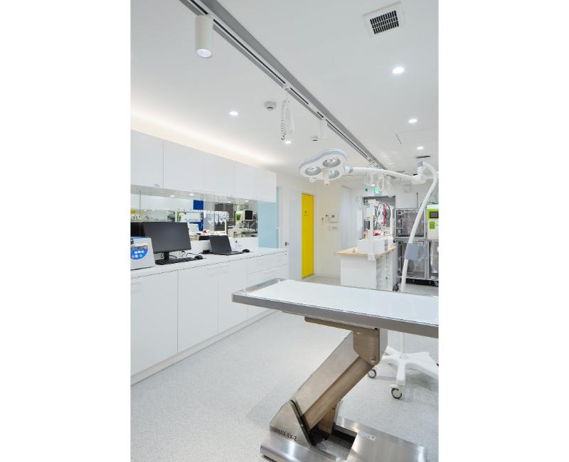 京浜夜間動物病院