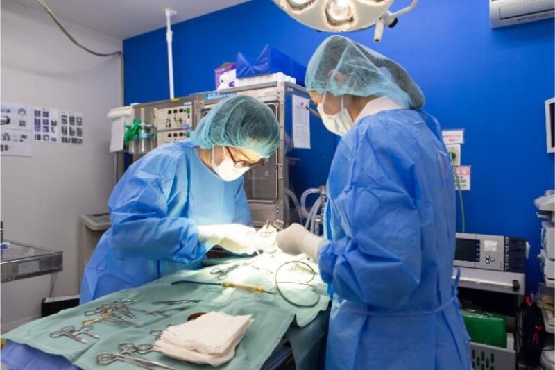 うつのみや動物病院