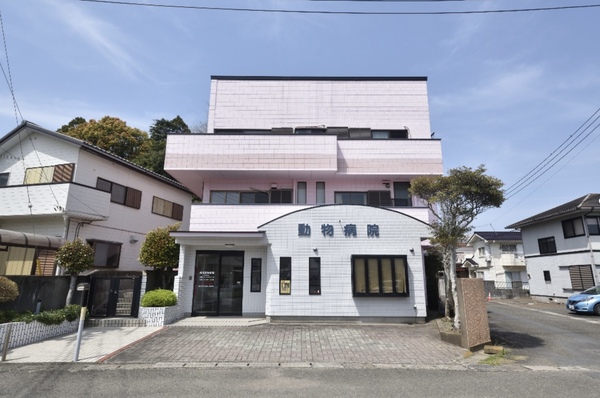 鴨川動物病院photo