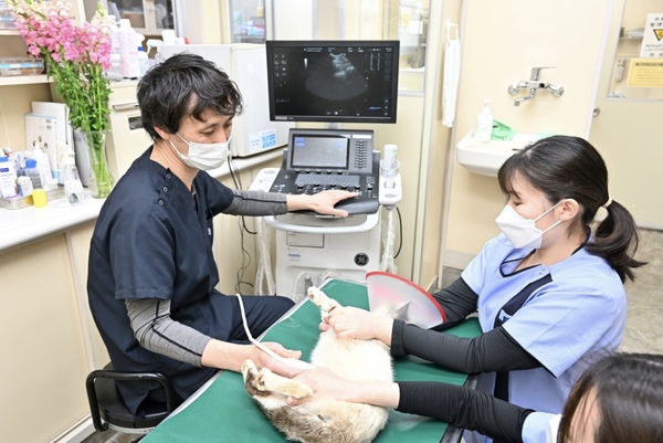鴨川動物病院photo