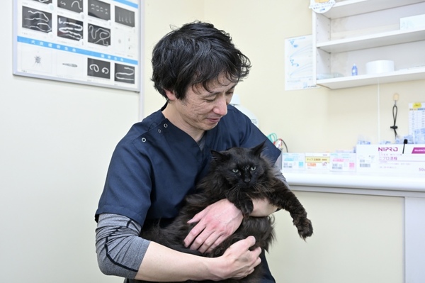 鴨川動物病院photo