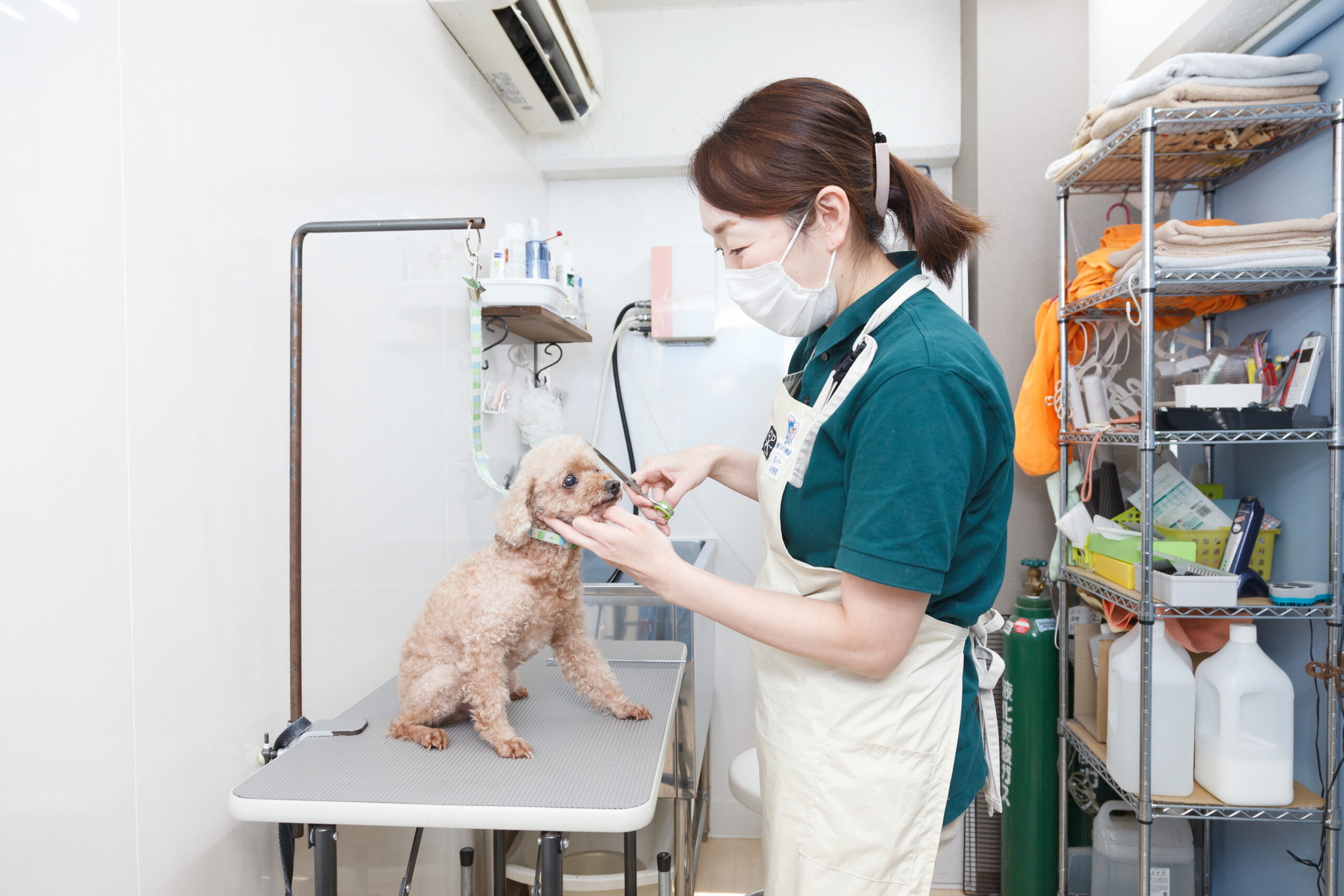 横浜りゅう動物病院photo