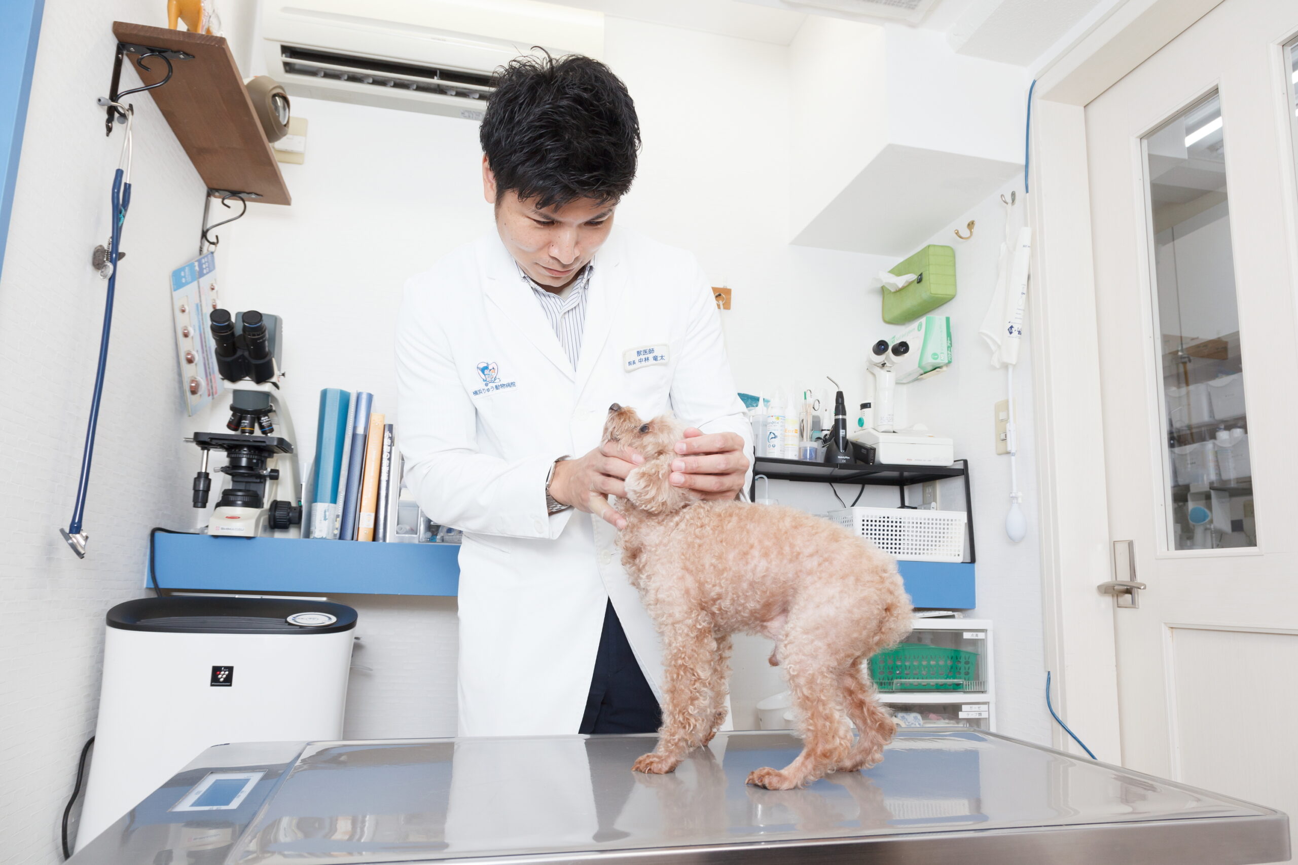 横浜りゅう動物病院photo