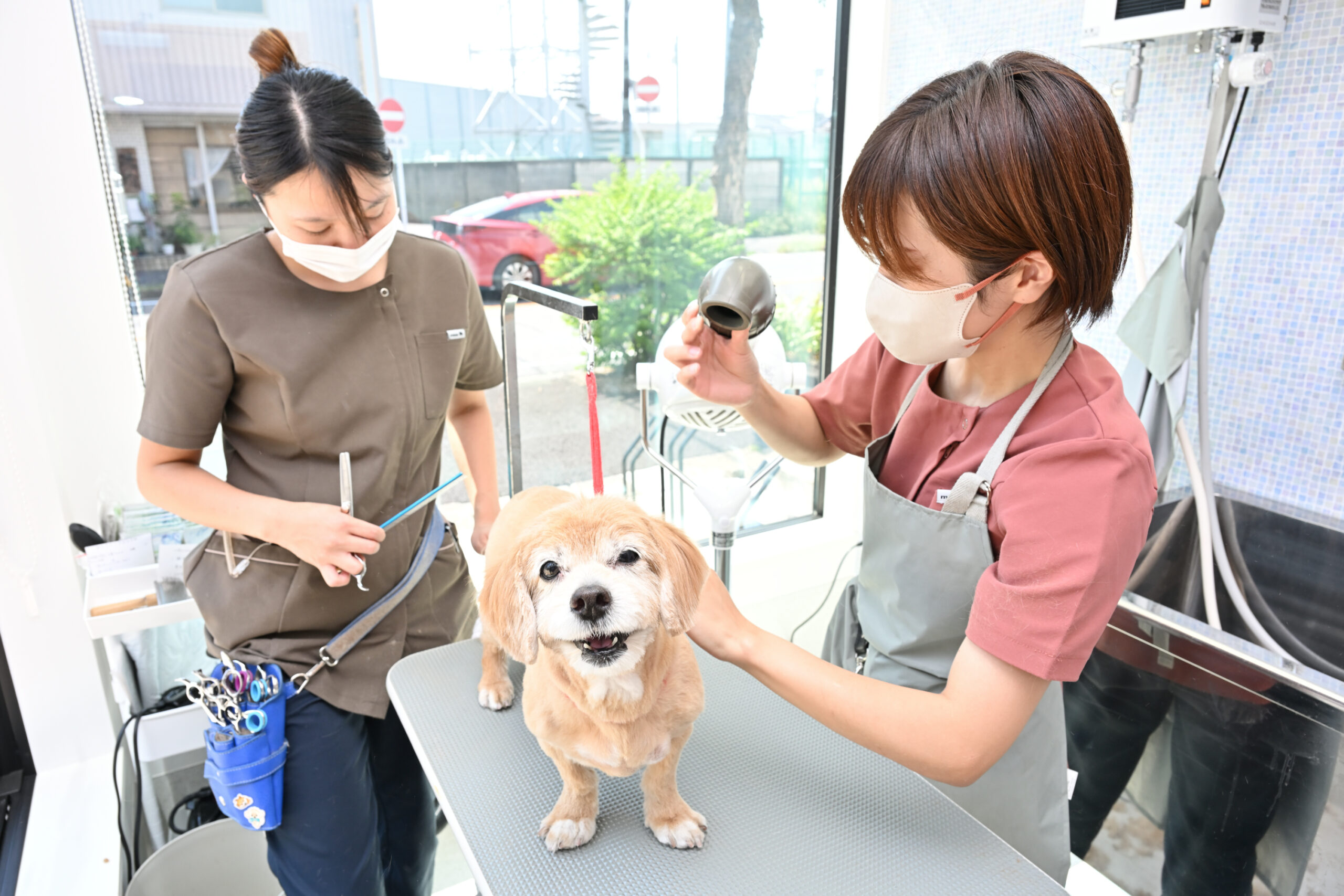 きまち動物病院photo