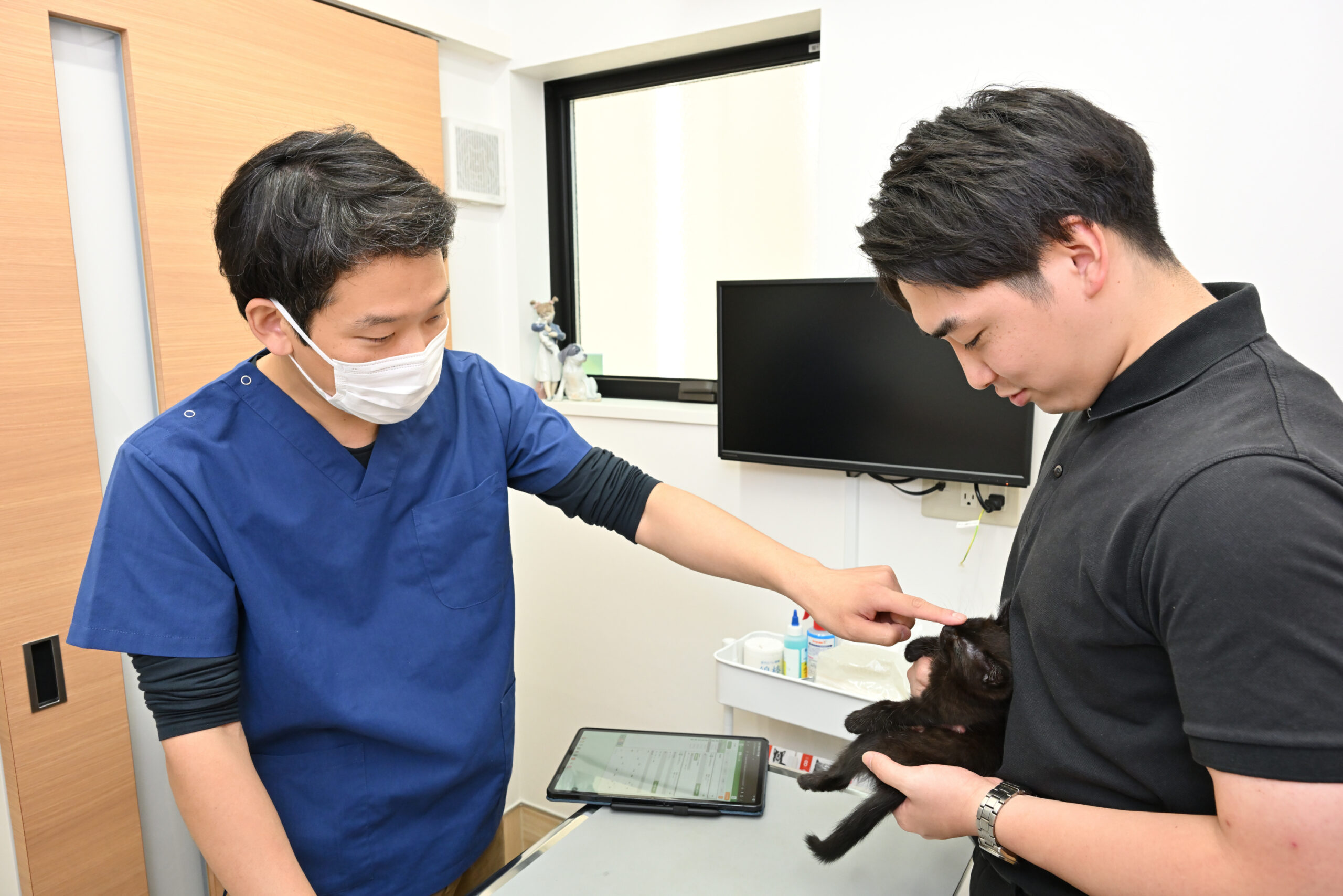 きまち動物病院photo