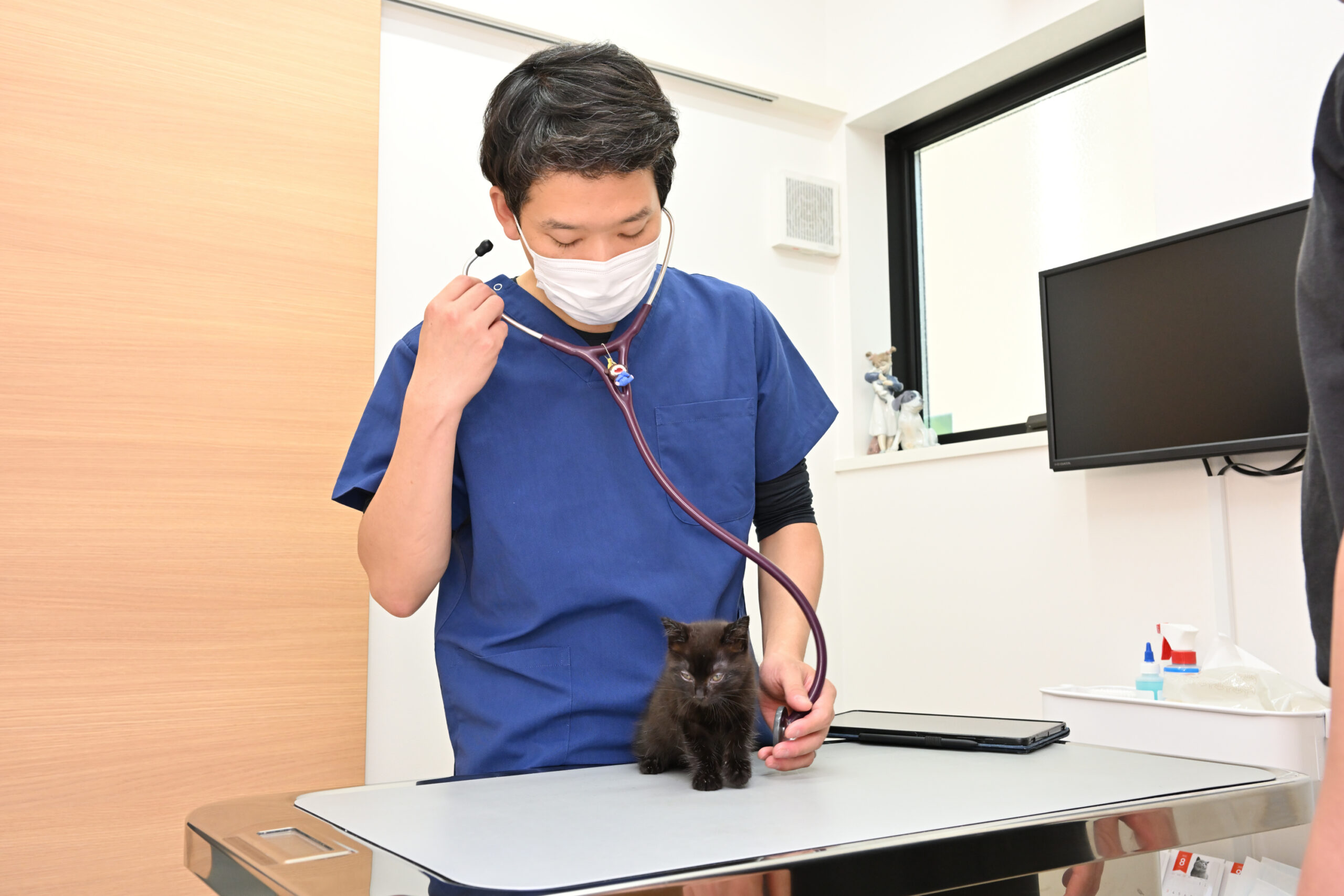 きまち動物病院photo