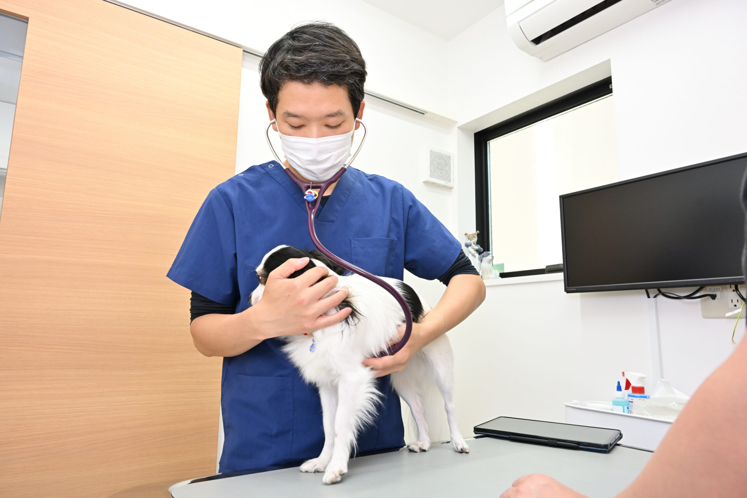 きまち動物病院photo