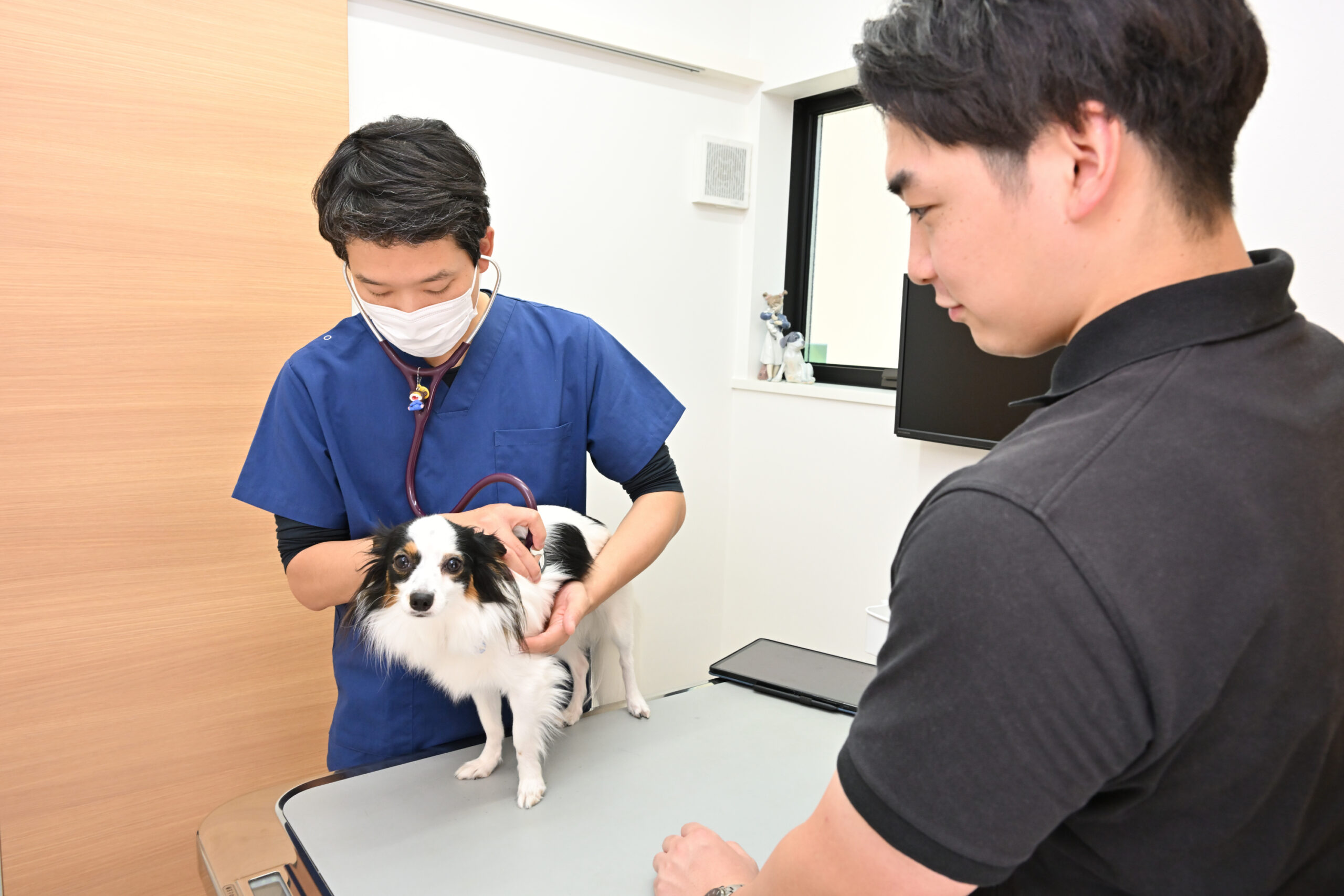 きまち動物病院photo