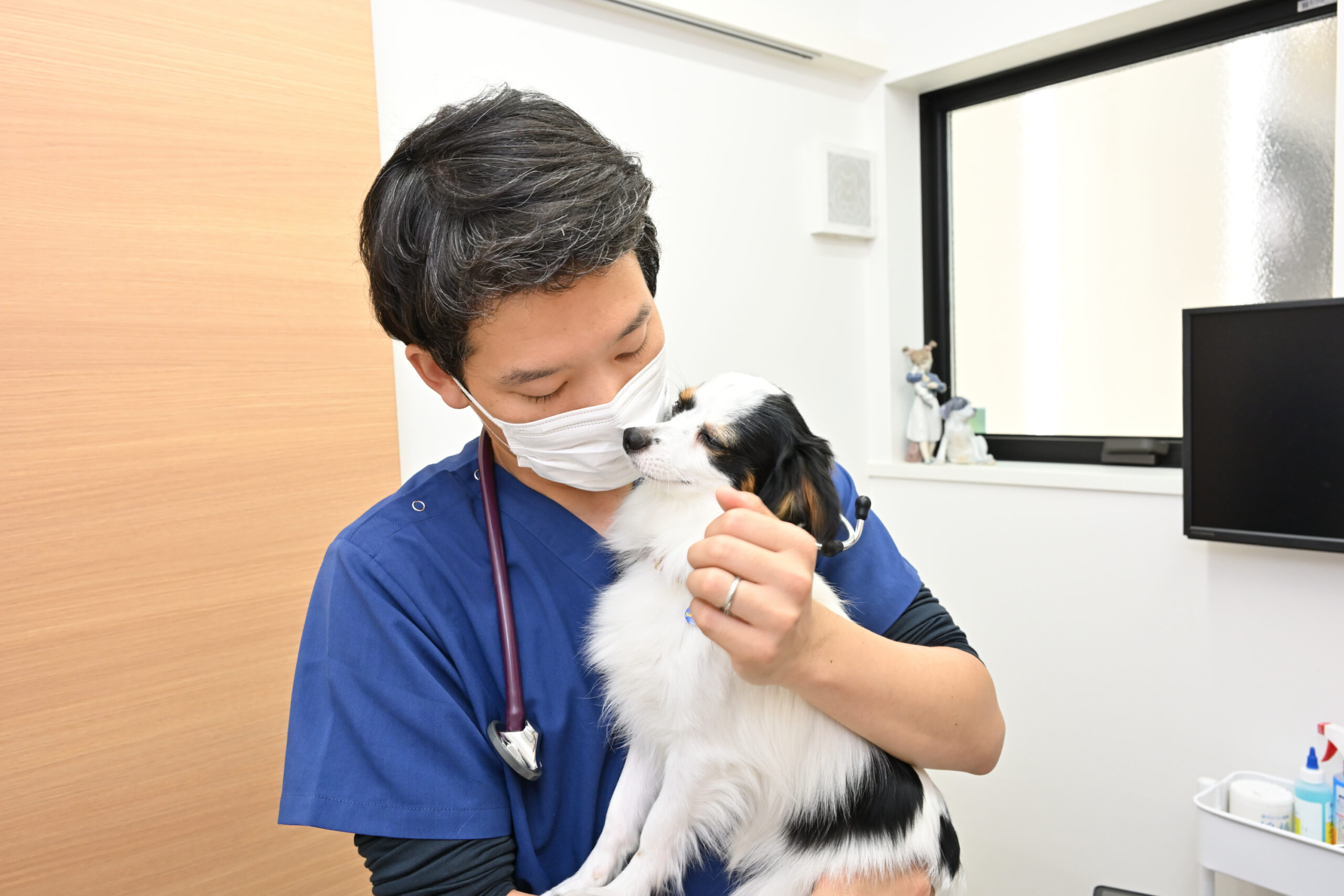 きまち動物病院photo