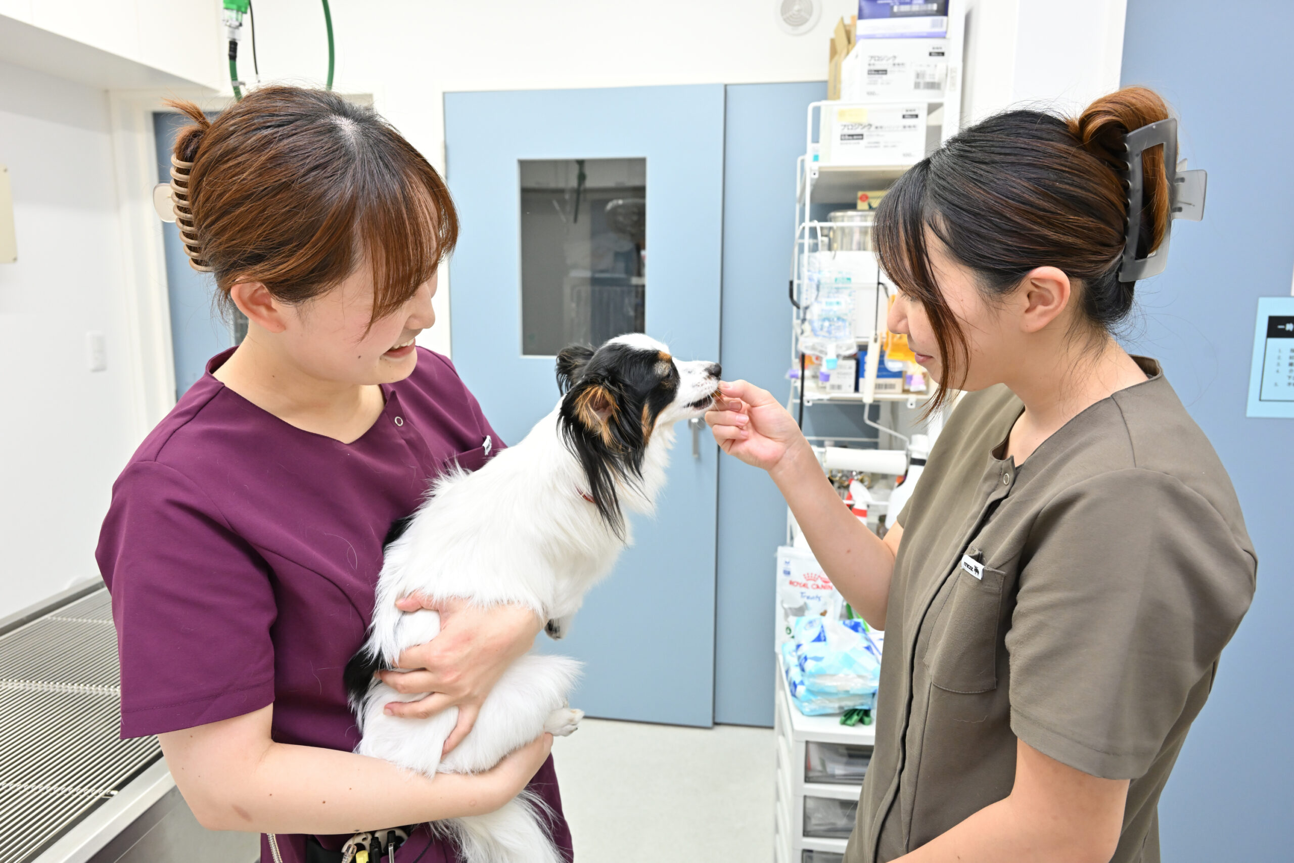 きまち動物病院photo