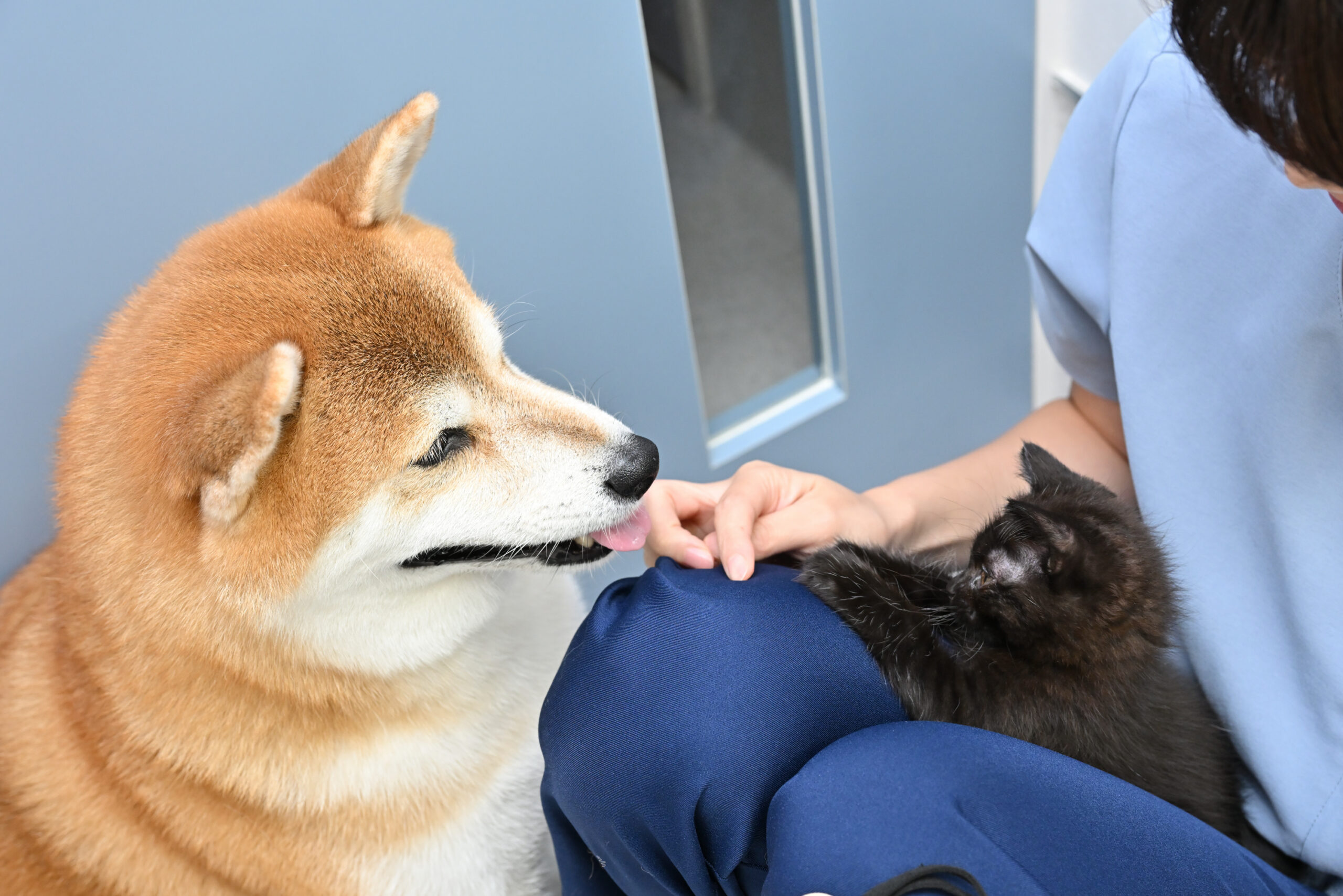 きまち動物病院photo
