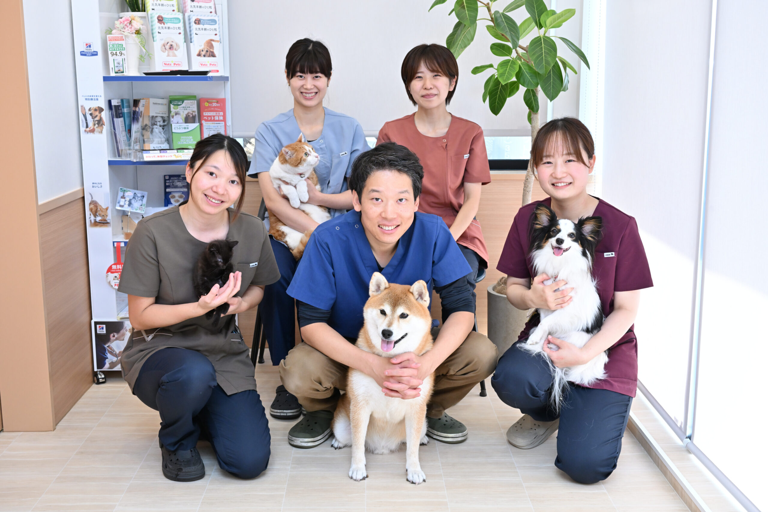 きまち動物病院photo