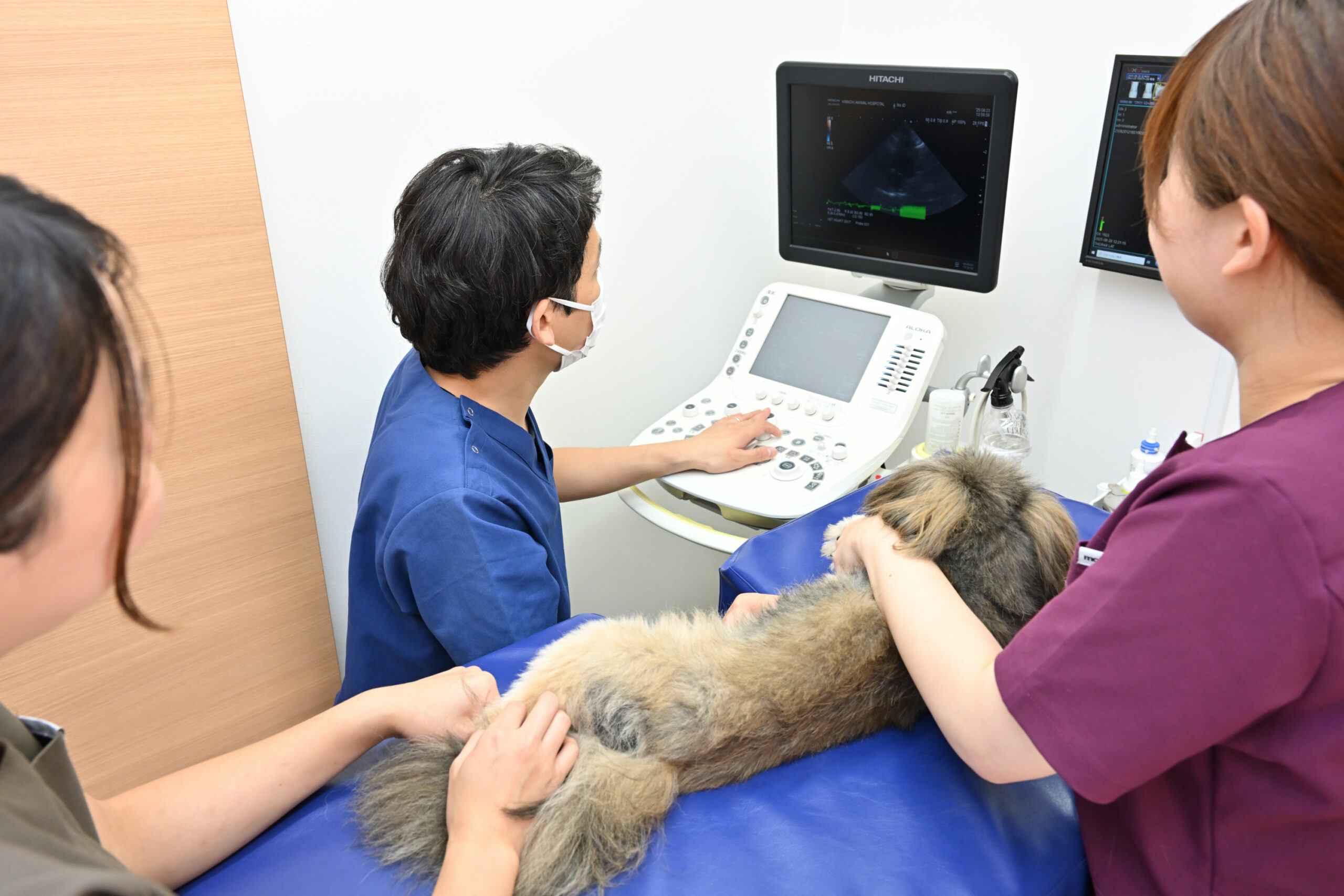 きまち動物病院photo