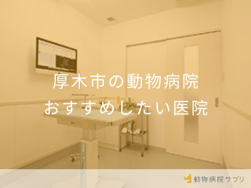 厚木市の動物病院 おすすめしたい医院