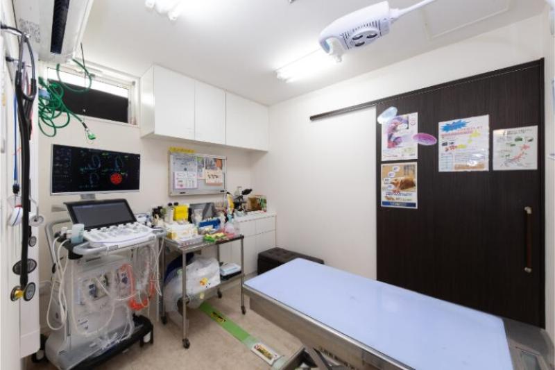 うつのみや動物病院