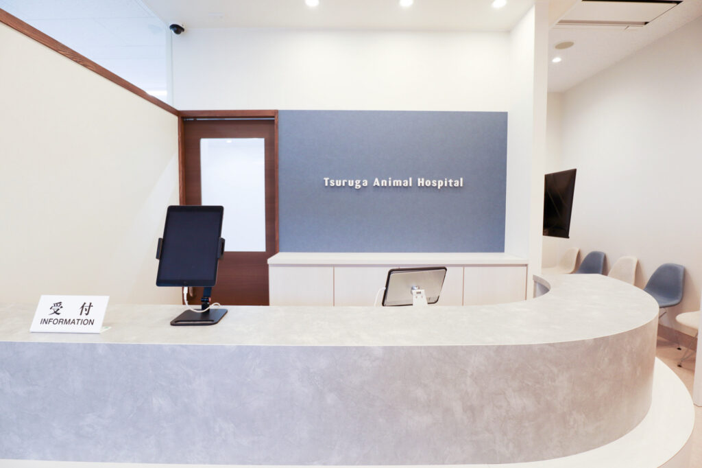 敦賀どうぶつ病院