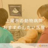 【2025年】上尾市の動物病院 おすすめしたい5医院
