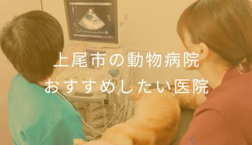 【2025年】上尾市の動物病院 おすすめしたい5医院