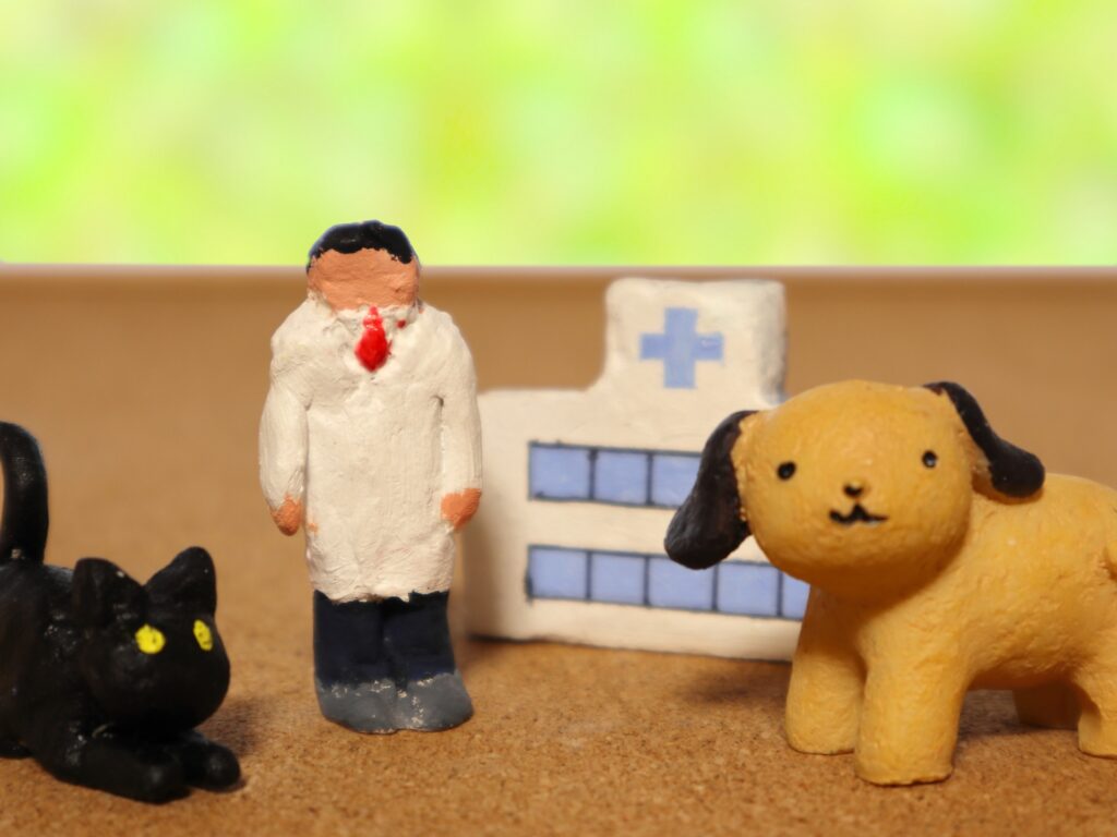 動物病院でのノミ感染