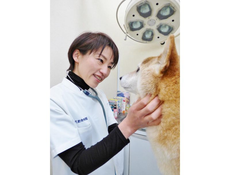 八千代動物病院
