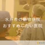 【2025年】水戸市の動物病院 おすすめしたい3医院