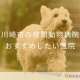 川崎市の夜間動物病院 おすすめしたい医院