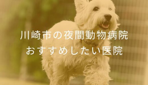 【2025年】川崎市の夜間動物病院 おすすめしたい3医院