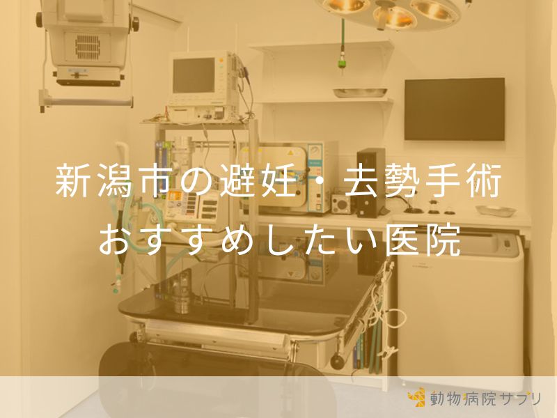 新潟市の避妊・去勢手術 おすすめしたい医院