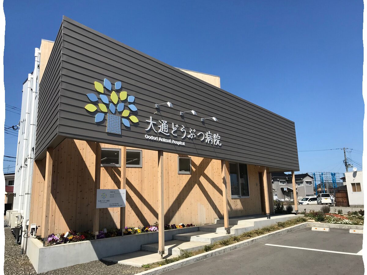 大通どうぶつ病院