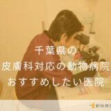 千葉県の皮膚科対応の動物病院 おすすめしたい医院