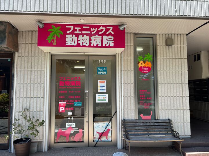 フェニックス動物病院