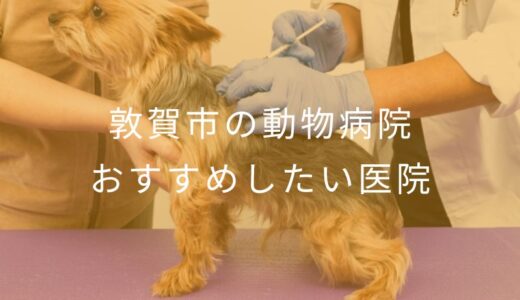 【2025年】敦賀市の動物病院 おすすめしたい1医院