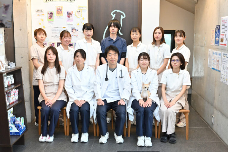 うえの犬猫病院