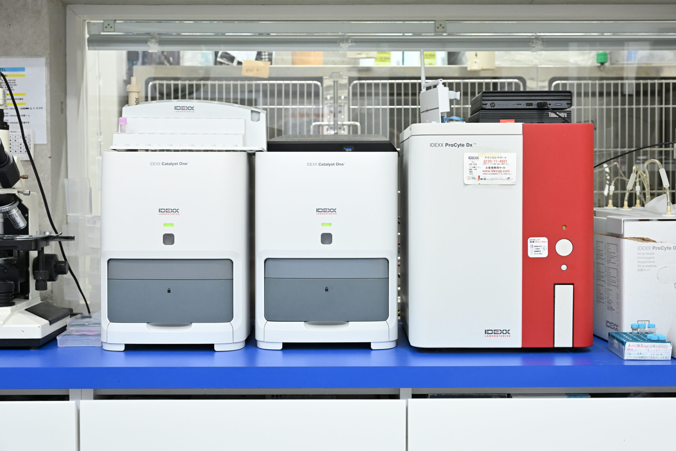 うえの犬猫病院