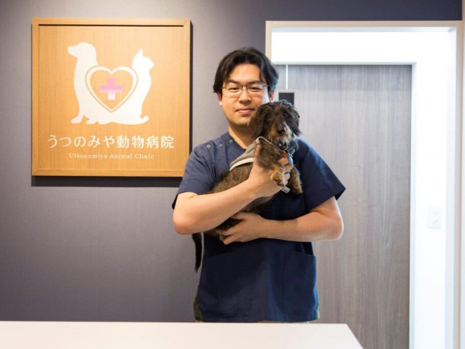 うつのみや動物病院