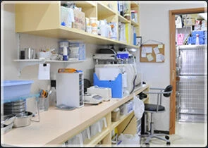 フジタどうぶつ病院photo