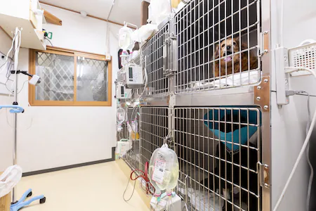 フジタどうぶつ病院はphoto