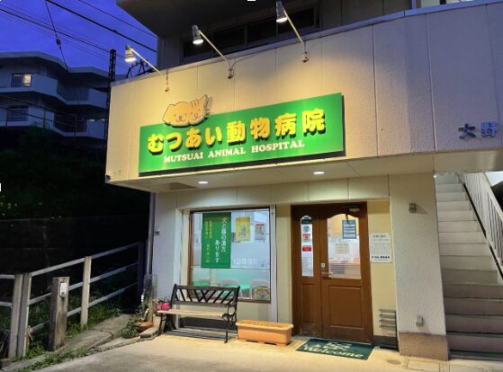 むつあい動物病院