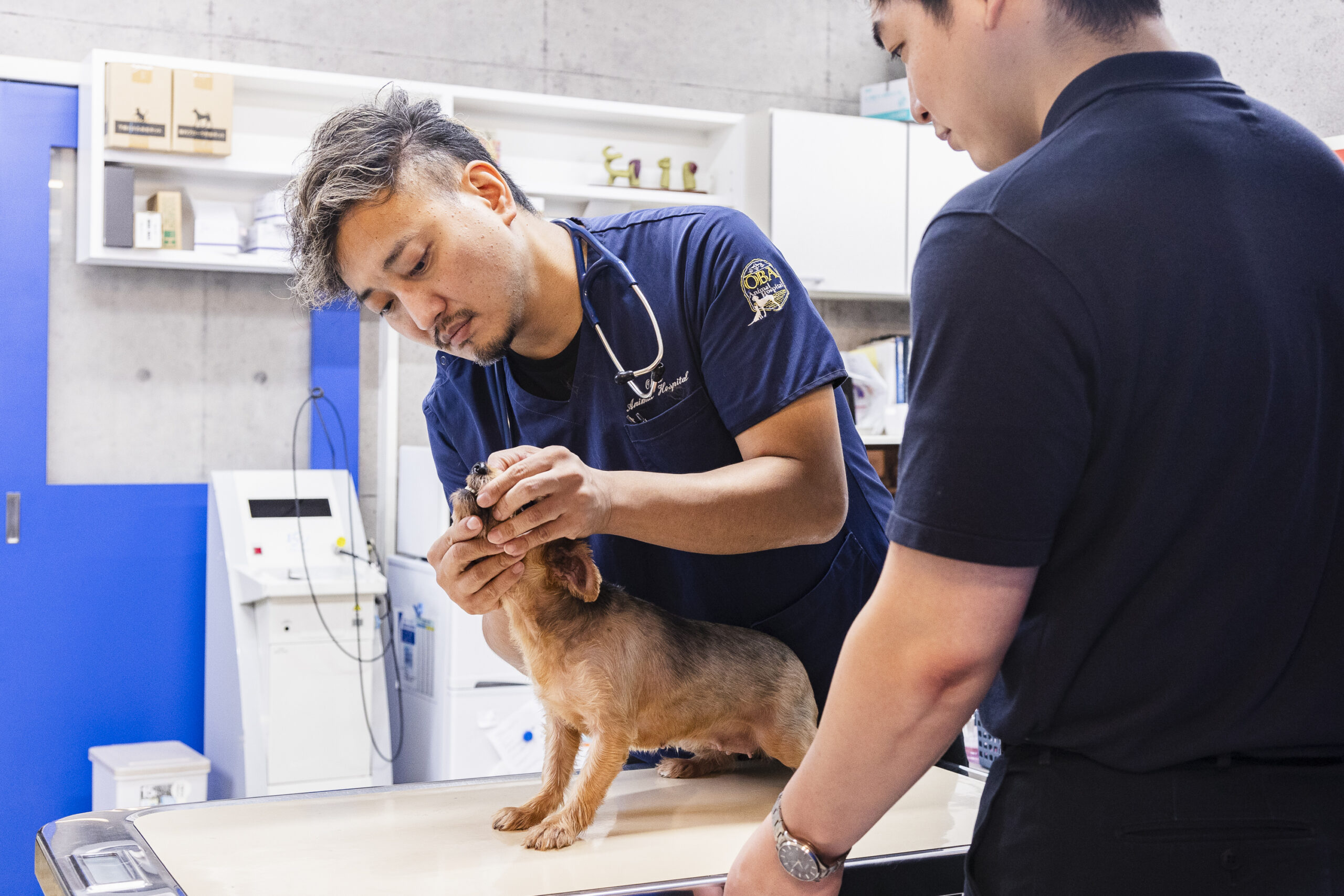 大庭動物病院 清水病院