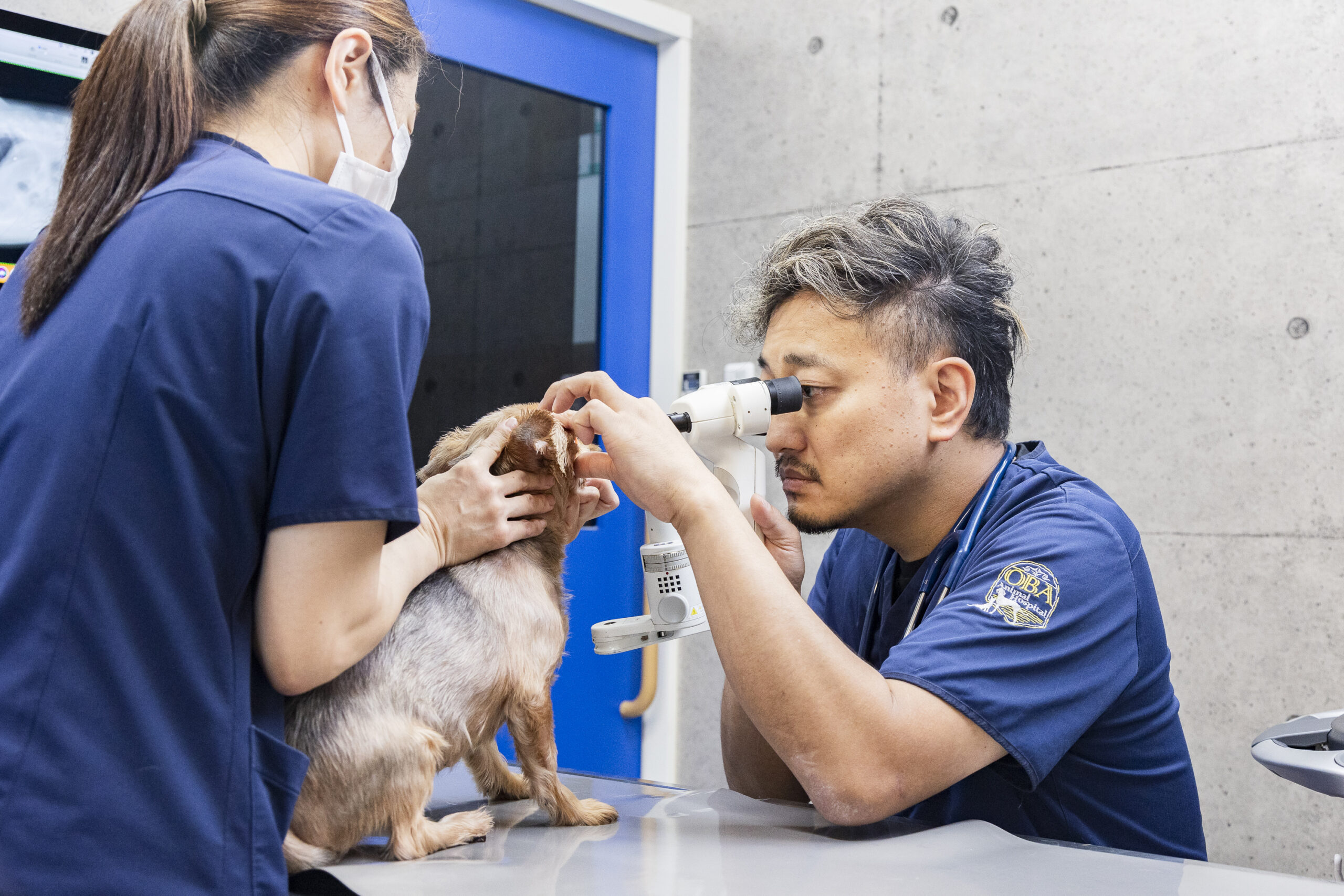 大庭動物病院 清水病院