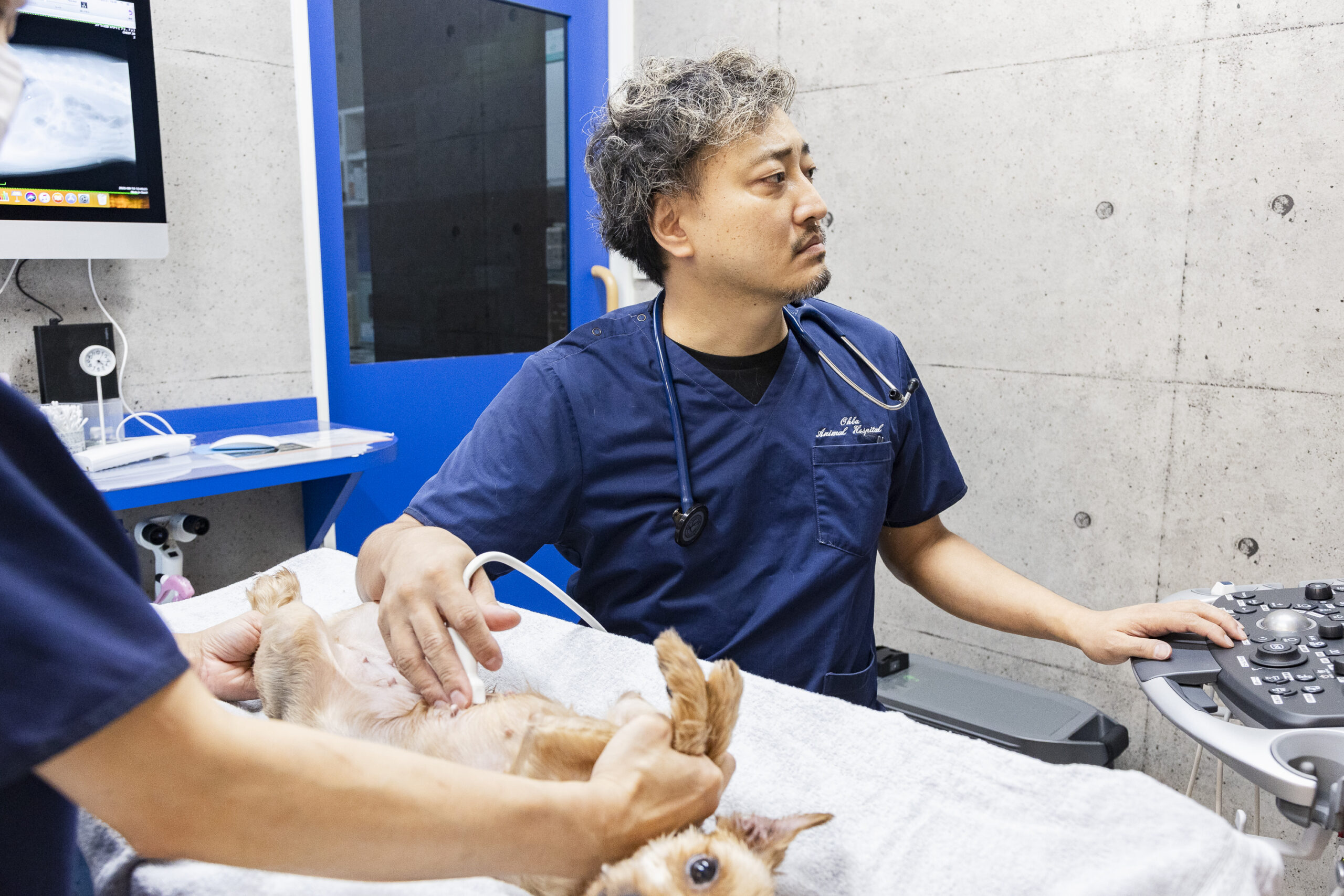大庭動物病院 清水病院