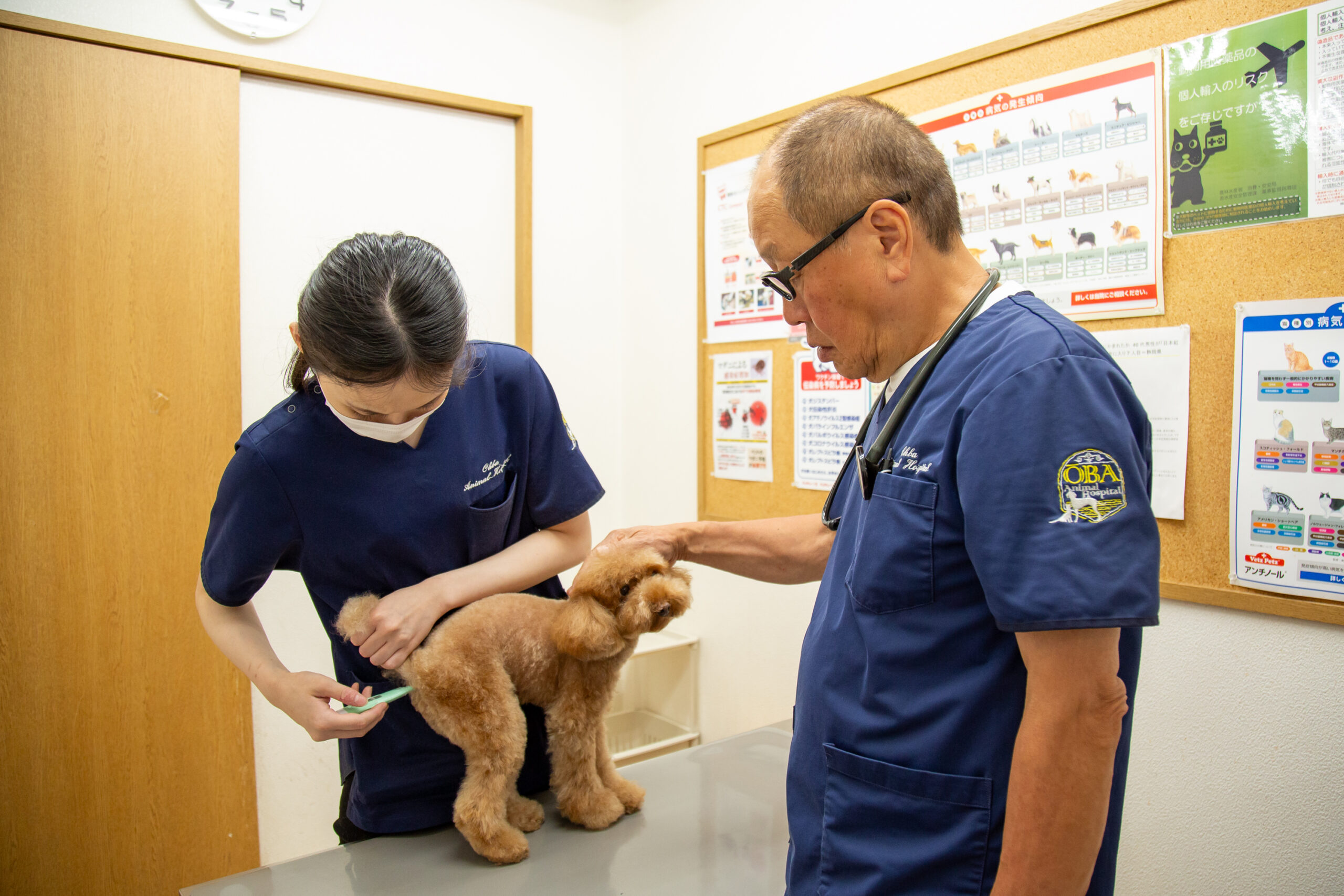 大庭動物病院 焼津病院
