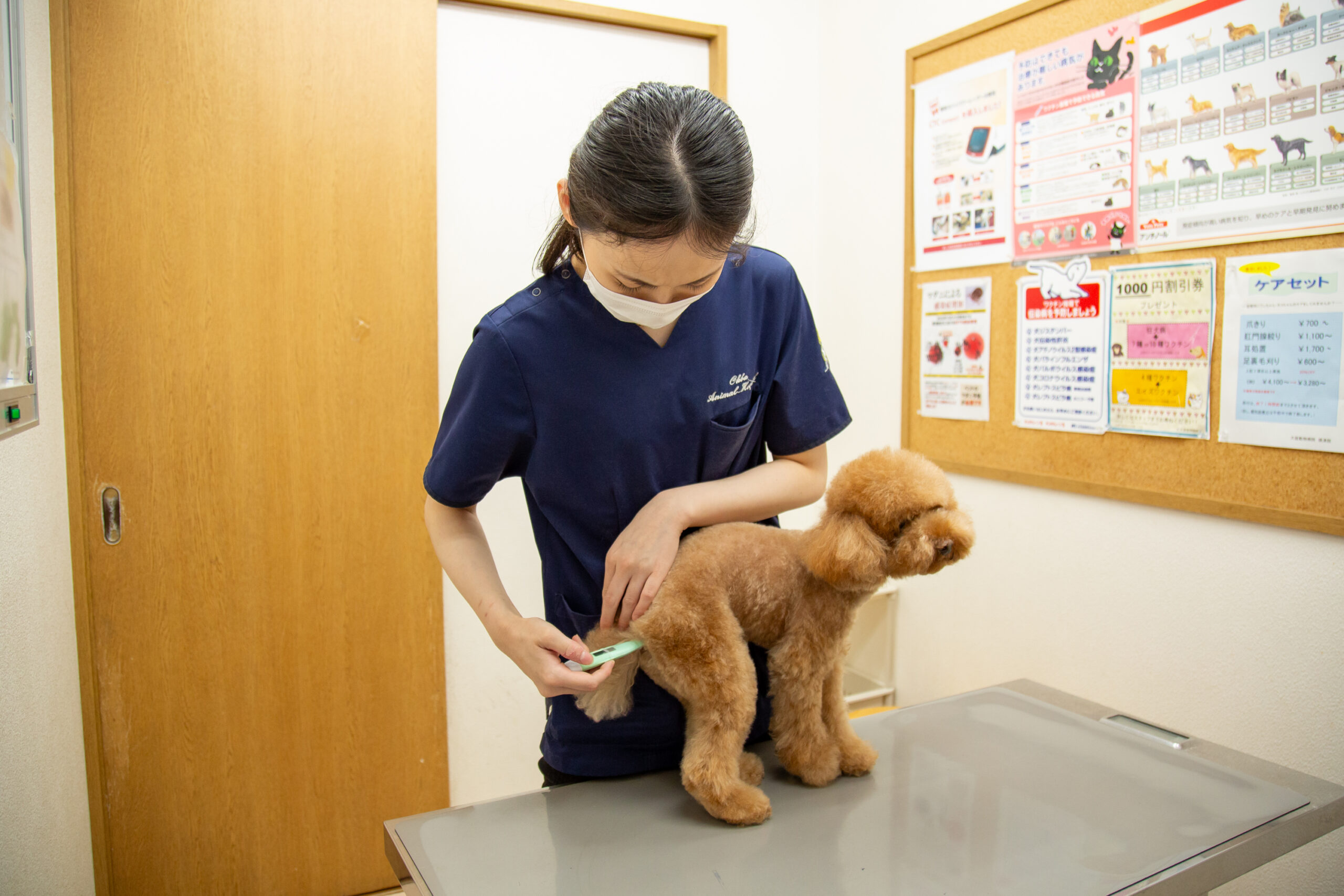 大庭動物病院 焼津病院