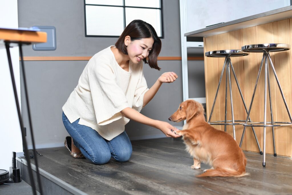 犬のしつけをする若い女性の飼い主